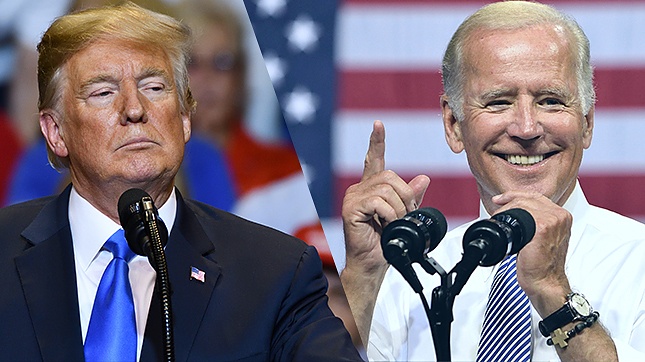A Trump-Biden rematch is highly likely in November 2024 presidential election – Standard Chartered